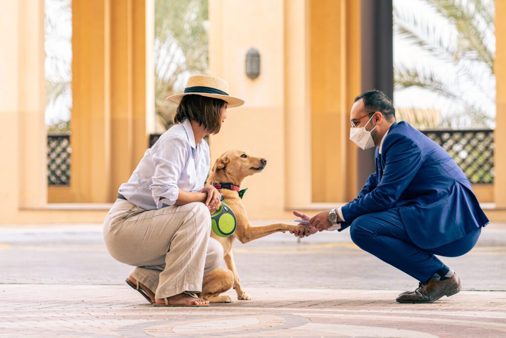 Image of a brown dog sitting between two people, a man and a woman. The dog is looking up at them with a happy expression on its face, while the man and woman are smiling down at the dog